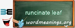 WordMeaning blackboard for runcinate leaf